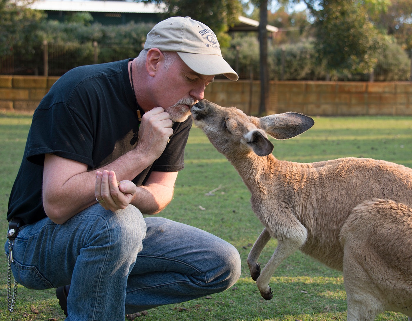 kissing friends